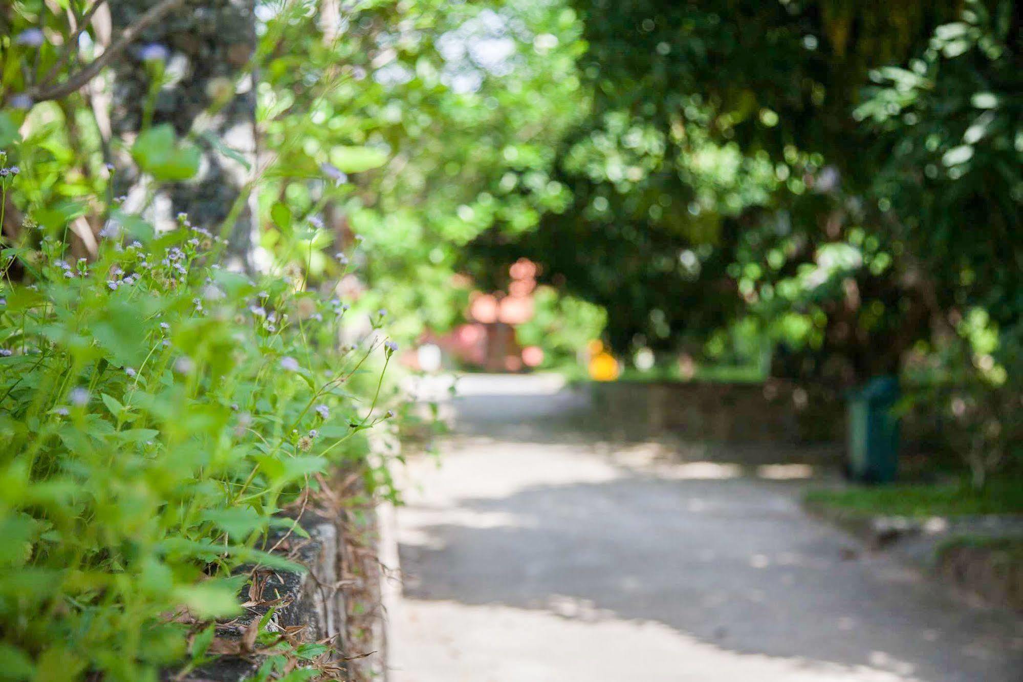 Koh Tao Garden Resort Dış mekan fotoğraf